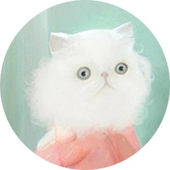 doriskatten